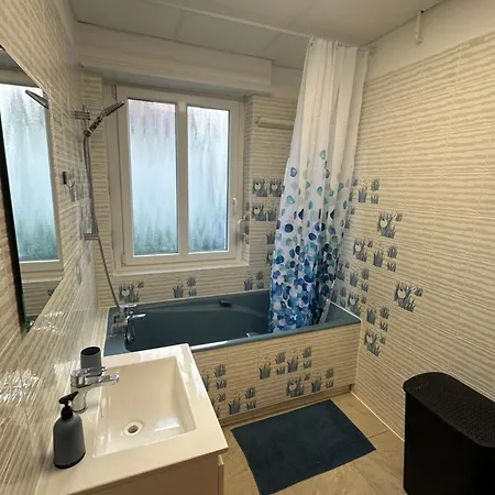 Apartmán Mulhouse Mylhúzy